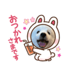 スピッツ ロイくんスタンプ（個別スタンプ：7）