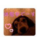 ふうまんスタンプ（個別スタンプ：14）