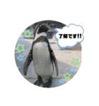 いやしのどうぶつたち（個別スタンプ：8）