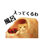 スコティッシュの小次郎（個別スタンプ：30）