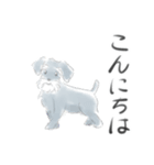 シュナウザーの敬語スタンプ（個別スタンプ：2）