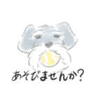 シュナウザーの敬語スタンプ（個別スタンプ：12）