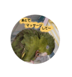 サザナミインコ～うちの子スタンプ～（個別スタンプ：19）