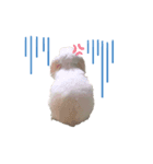 モフモフゆきこちゃん（個別スタンプ：2）