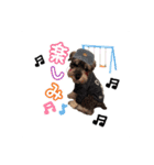 我が家のQooちゃん（個別スタンプ：4）