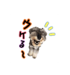 我が家のQooちゃん（個別スタンプ：16）