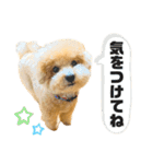 ふじもとそら2（個別スタンプ：2）