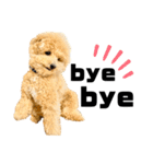 ふじもとそら2（個別スタンプ：13）