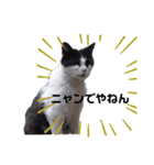 りぽこたち（個別スタンプ：10）
