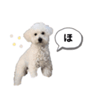 りぽこたち（個別スタンプ：14）