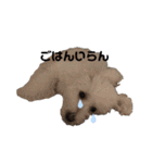 りぽこたち（個別スタンプ：34）