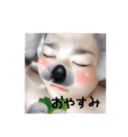 うちのすばるちゃん。（個別スタンプ：2）