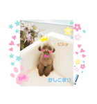 Ronお姫の愉快な毎日（個別スタンプ：5）