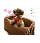 Ronお姫の愉快な毎日（個別スタンプ：6）
