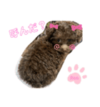Ronお姫の愉快な毎日（個別スタンプ：10）