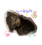 Ronお姫の愉快な毎日（個別スタンプ：12）