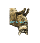 猫だって♡（個別スタンプ：22）