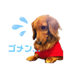 あず婆ちゃん（個別スタンプ：4）