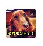あず婆ちゃん（個別スタンプ：7）