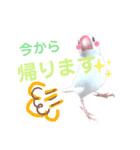 文鳥のあずきときなこスタンプ（個別スタンプ：10）