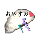 ふくちゃんといっしょ❤︎3（個別スタンプ：23）