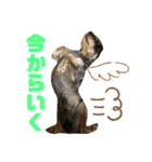 まろんがスタンプになったらしい（個別スタンプ：6）