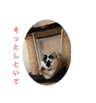 もうスタンプ（個別スタンプ：7）