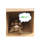 太郎ちゃんがスタンプになっちゃった件（個別スタンプ：1）