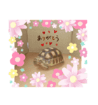 太郎ちゃんがスタンプになっちゃった件（個別スタンプ：2）