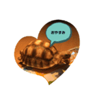 太郎ちゃんがスタンプになっちゃった件（個別スタンプ：3）