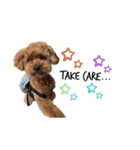 PEACE loves peace 3（個別スタンプ：6）