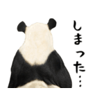 ほほえみフレンズ！パンダの日常生活（個別スタンプ：20）