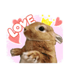 ミニウサギのピーターくん（個別スタンプ：2）