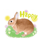 ミニウサギのピーターくん（個別スタンプ：3）