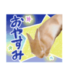 ミニウサギのピーターくん（個別スタンプ：9）
