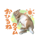 ミニウサギのピーターくん（個別スタンプ：18）