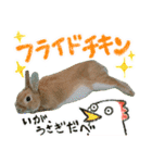 ミニウサギのピーターくん（個別スタンプ：23）