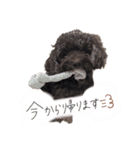 さにおくん②（個別スタンプ：6）
