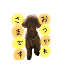 さにおくん②（個別スタンプ：7）