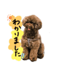 さにおくん②（個別スタンプ：8）