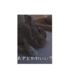カフェラテうさぎ（個別スタンプ：4）