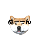 柴犬 やまちゃん（個別スタンプ：15）