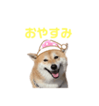 仲良し兄弟 はぐ＆さすけ＆いちご（個別スタンプ：2）