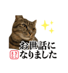 KIJIMARU スタンプ Part4_改訂（個別スタンプ：10）