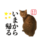 KIJIMARU スタンプ Part4_改訂（個別スタンプ：13）
