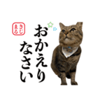 KIJIMARU スタンプ Part4_改訂（個別スタンプ：16）