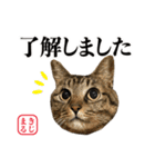 KIJIMARU スタンプ Part4_改訂（個別スタンプ：20）