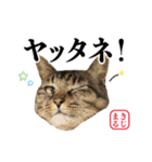 KIJIMARU スタンプ Part4_改訂（個別スタンプ：23）