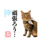 KIJIMARU スタンプ Part4_改訂（個別スタンプ：26）