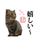 KIJIMARU スタンプ Part4_改訂（個別スタンプ：27）